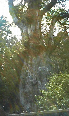 200803161256000.jpg